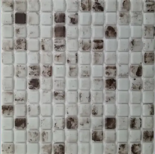 7145 کاشی استخری